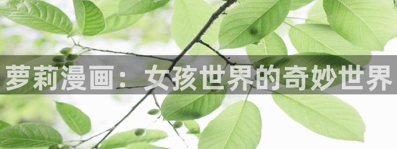 漫漫漫画在线阅读