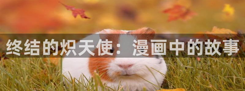 漫漫漫画下载