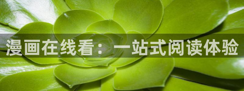 漫漫漫画网站免费登录入口